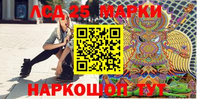 Альфа ПВП Малгобек