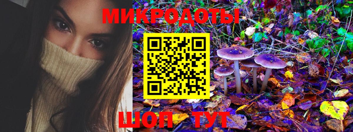 Фрязино  Псилоцибиновые грибы Psilocybine cubensis  Вход с VPN 