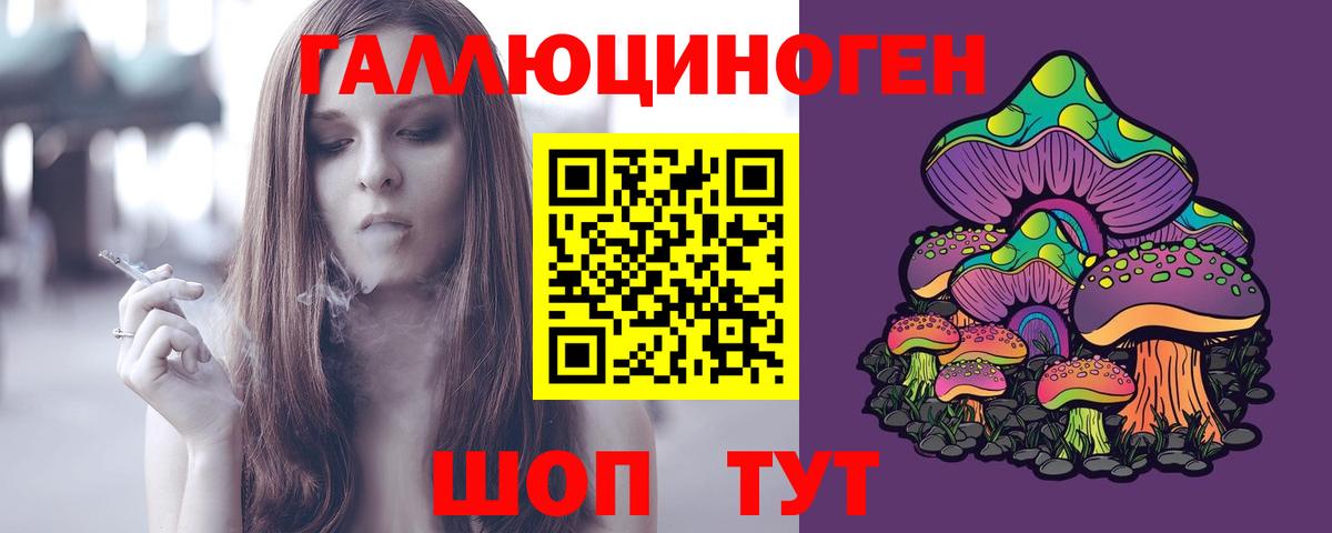 Псилоцибиновые грибы Psilocybe Фрязино